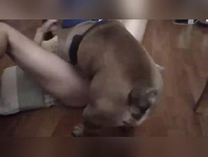 Bestiality Video - Forbidden but Exciting