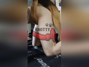 Les trans femmes qui sont a l'avant-garde : le ratio sexe chiens taboo du zoo