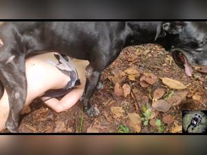 Exploring Boundaries: Valeria & Her German Shepherd