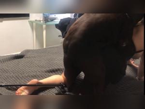 Extreme zoophilia scene with Veronica