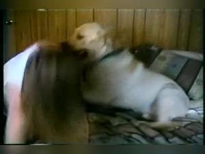 woman dog zoofilia video