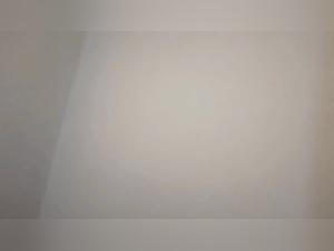 Female Elephant Sex with a Beast: A Wild and Crazy Ride