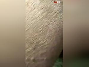 Extreme fisting porn with a young mare