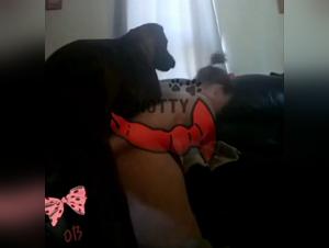 Strayx and Her Dog: A Banned Match for All Colors