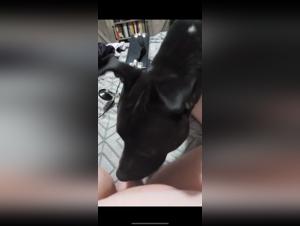 Video de sexo bestial: una mujer y su perro