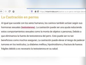 Guide de la Bestialité: Tout ce que vous devez savoir