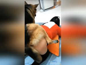 Bestial domination of a businesswoman