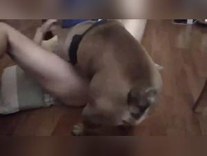 Extreme Bestiality: Young Girl and her Dog