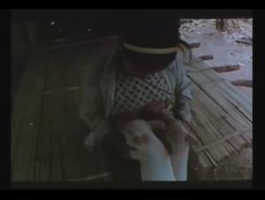 Feeding a dog with breast milk: a shocking scene of zoophilia