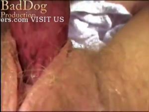 Shocking bestiality: a woman and her dog