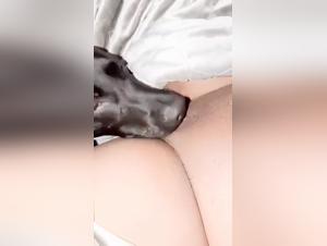 Bestialitetschelektion: Porno sexo mit weiblichen Schlammen und Hunden