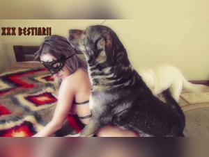 Dog Bestiality Video - Watch Now