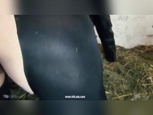 Yasmin and her dog in a shocking zoophilia video