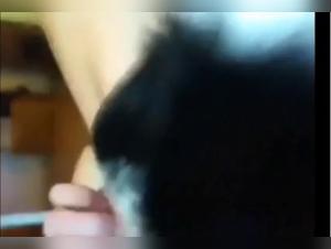 Mamy et son chien dans une vidéo de zoophilie