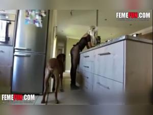 Blonde maid and canine pleasure: a video of extreme zoophilia