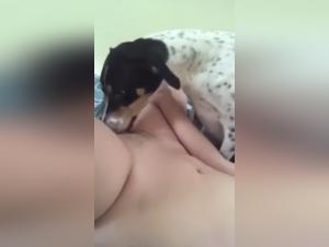 Zoophilia scene with a dog