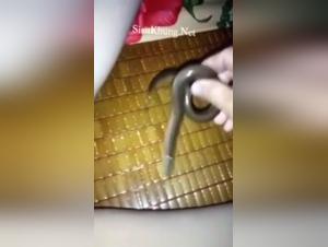 Bestiality: a woman and a dog in a shocking video