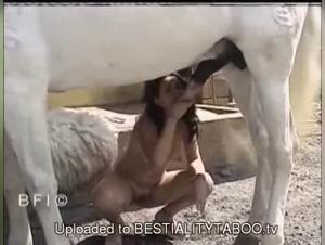 Young Brazilian and stallion: an exciting bestiality video