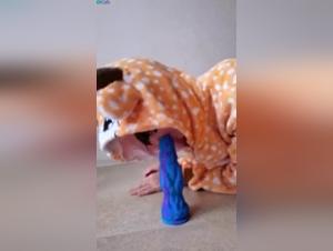 Zoophilia: a woman and her dog in a bestial relationship