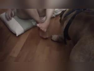 Extreme Dog Sex with Slut and Her Dog