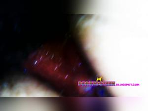 Woman and Dog: A Forbidden Meeting - Compilation