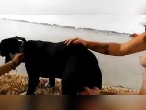 Forbidden Meeting: Woman and Dog