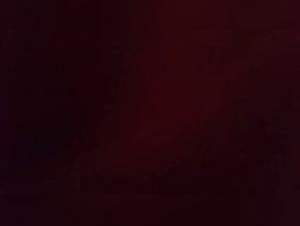 Husky and woman in intense zoophilia scene