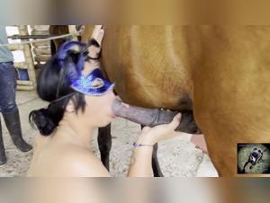 Blowjob with a horse: a shocking bestiality video