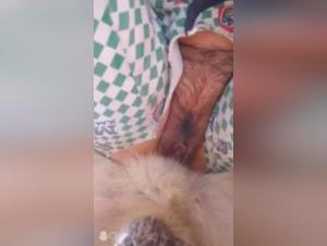 Man and Dog: A Shocking Connection