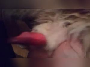 Bestiality: Woman and dog