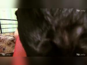 Bestiality: a woman and her four-legged friend