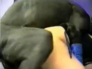 unexpected meeting with animal