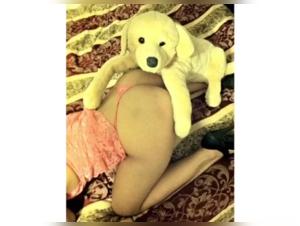 Intimate Encounter with a Dog: An Extreme Zoophile Experience