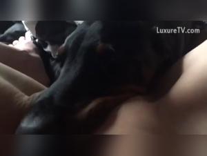 Harley Quinn in an unexpected beastly adventure