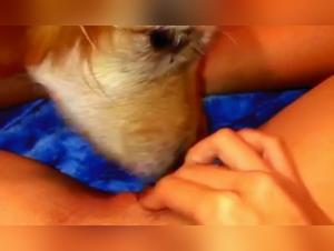 Candyl_lynn and her zoophilic adventures on Snapchat