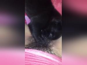 Forbidden Meeting: Woman and Dog