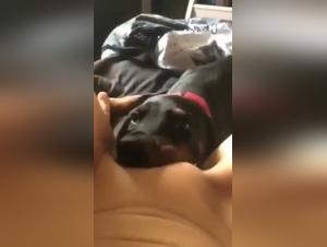 zootography experience