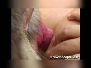 dog cock free videos