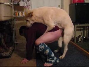 Intimate Video with a Dog