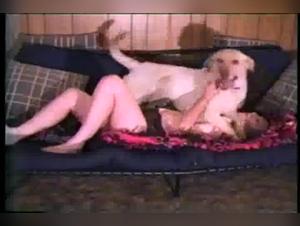 Sex with Dogs - Amateur Videos