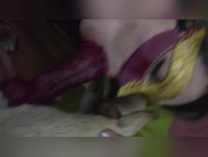 Woman and dog: an intense zoophilia video