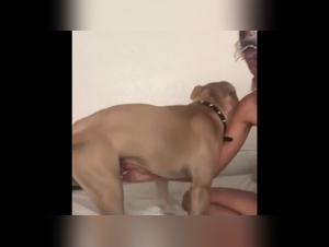 Woman and dog in shocking zoophilia video