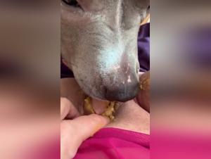 Breaking Taboos: Dog Cock Reality Unveiled