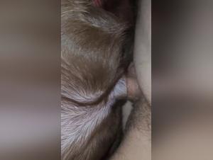 best free beastiality