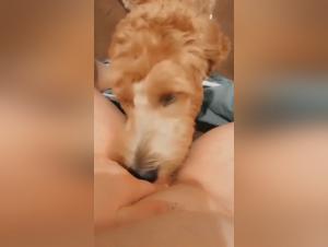 Vidéo de sexe bestialité avec une femme et son chien