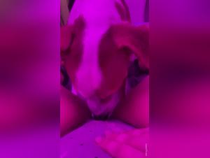 Vidéo de Sexe avec un Chien