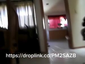 woman and dog bestial encounter