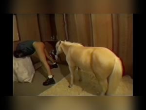 Horsecore Extended: Une Expérience de Sexe avec Cheval Hard et Extrême