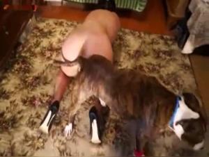 Woman with voluptuous buttocks and dog in heat: a zoophilia video not to be missed