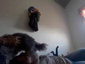 Forbidden Meeting: Woman and Dog